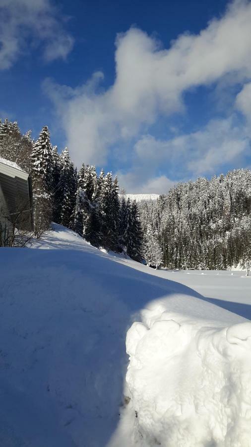 Apartmán Haus Amade Wagrain Exteriér fotografie